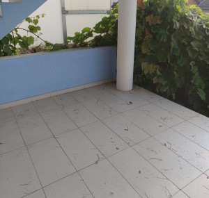 Photo de galerie - Après la taille de la vigne et avant balayage de la terrasse 
