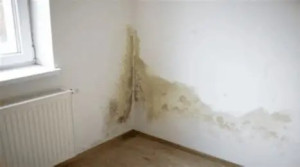 Photo de galerie - Murs humides