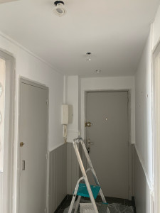 Photo de galerie - Peinture complète appartement 