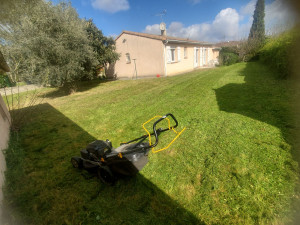 Photo de galerie - Tonte de pelouse - Débroussaillage
