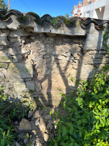 Photo de galerie - Début de chantier 