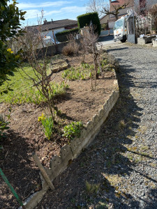 Photo de galerie - Paysagiste - Aménagement du jardin