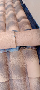 Photo de galerie - Closoir abîmé par des rongeurs et l'usure du temps