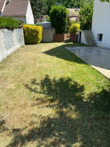 Photo de galerie - Tonte de pelouse - Débroussaillage