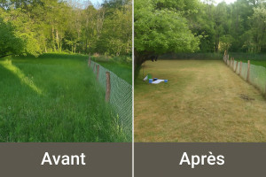 Photo de galerie - Avant / après 