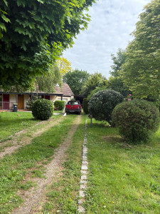 Photo de galerie - Taille d’arbustes dans un jardin 