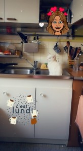 Photo de galerie - Garde chat