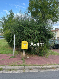 Photo de galerie - Taille de haies et d'arbustes