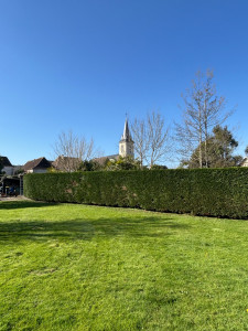 Photo de galerie - Taille de haies et d'arbustes