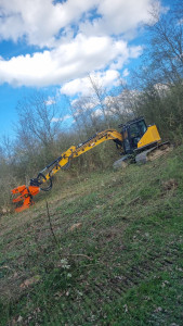 Photo de galerie - Coupe de bois énergie avec abbatage d'arbres le long de la route 