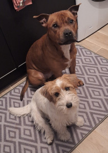 Photo de galerie - Oxo et Vanya