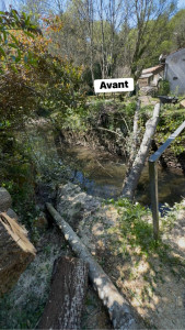 Photo de galerie - Elagage et coupe d'arbres
