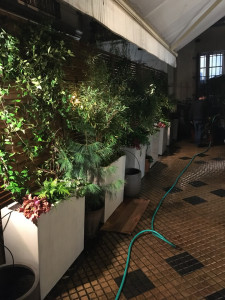 Photo de galerie - Paysagiste - Aménagement du jardin