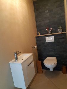 Photo de galerie - Toilette pose de pierre de parement meuble peinture 