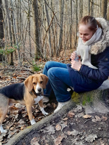 Photo de galerie - Garde chien