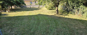 Photo de galerie - Remise  au propre  d un jardinier tonte
bordure debroussailleuse  