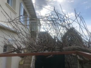 Photo de galerie - Jardinier