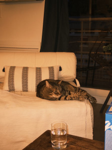 Photo de galerie - Despé, un gros doudou que j'ai gardé