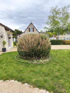 Photo de galerie - Taille finie remise en forme 