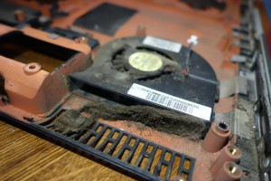 Photo de galerie - Assistance informatique