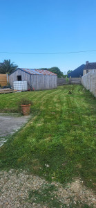 Photo de galerie - Tonte de pelouse - Débroussaillage