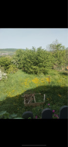 Photo de galerie - Avant 