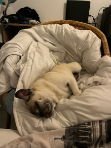 Photo de galerie - Gros dodo