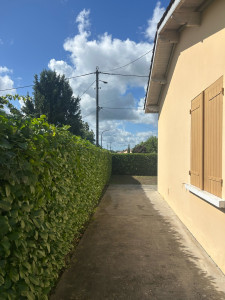 Photo de galerie - Taille de haies et d'arbustes