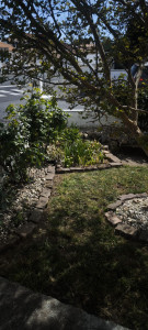 Photo de galerie - Entretien d'un jardin