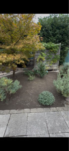 Photo de galerie - Paysagiste - Aménagement du jardin