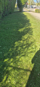 Photo de galerie - Tonte de pelouse - Débroussaillage