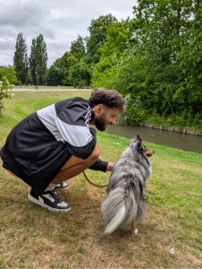 Photo de galerie - Garde et promenade de chien ?