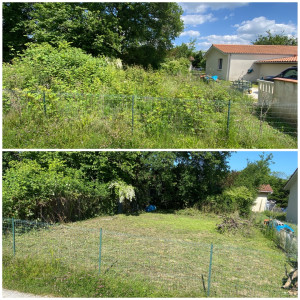 Photo de galerie - Tonte de pelouse - Débroussaillage