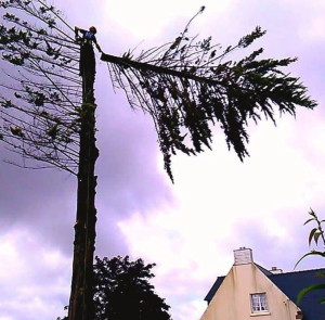 Photo de galerie - Démontage 