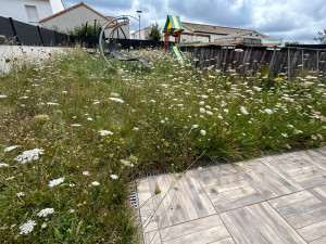 Photo de galerie - JARDIN NON ENTRETENU DEPUIS QUELQUES MOIS..