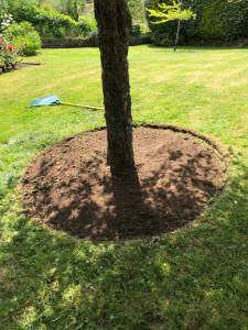 Photo de galerie - Paysagiste - Aménagement du jardin