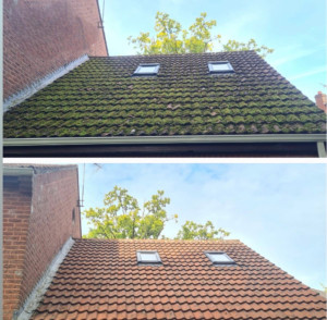 Photo de galerie - Couverture - Toiture