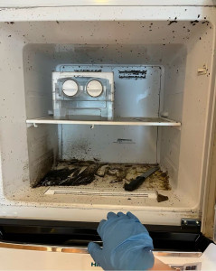 Photo de galerie - Ménage