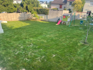 Photo de galerie - Entretien du gazon, tonte de pelouse