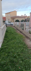 Photo de galerie - Elagage et coupe d'arbres