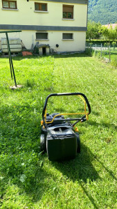 Photo de galerie - Tonte de pelouse 