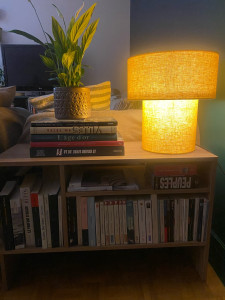 Photo de galerie - Montage meuble 