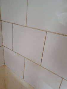 Photo de galerie - Nettoyage et récurage d'une cuisine avec produit dégraissant (photo avant)