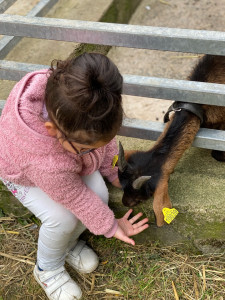 Photo de galerie - Sortie à la ferme avec une petite fille de 3 ans 