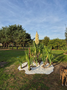 Photo de galerie - Des petites créations 