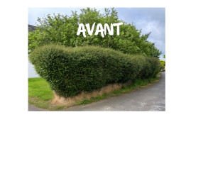 Photo de galerie - Photo avant intervention