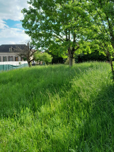 Photo de galerie - Tonte de pelouse - Débroussaillage