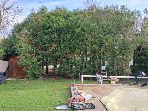 Photo de galerie - Clôture Grillage