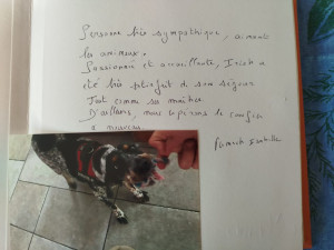 Photo de galerie - Garde chien