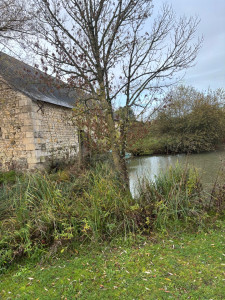 Photo de galerie - Elagage et coupe d'arbres